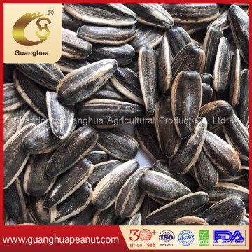 Caramel Flavor Roasted Sunflower Seeds for Sale Bulk Price